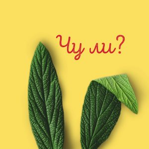 Creative campaign “Did you hear” for Investbank